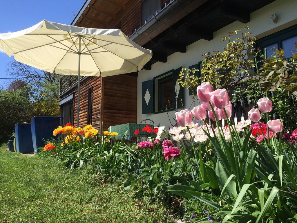 Ferienhaus Blumenparadies Stainz Esterno foto